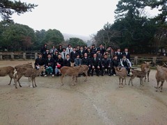 奈良公園７