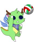 バレーボール バレーボール